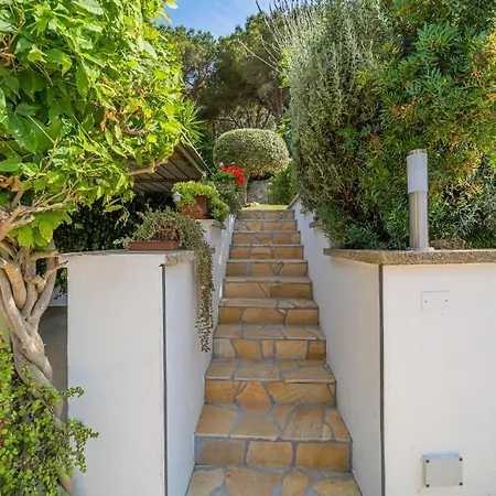 Da 2 Fino A 4 Persone Giardino شقة